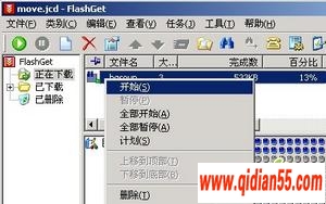 쳵÷FlashGetʵأͼ