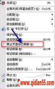 úGreenBrowserɫ